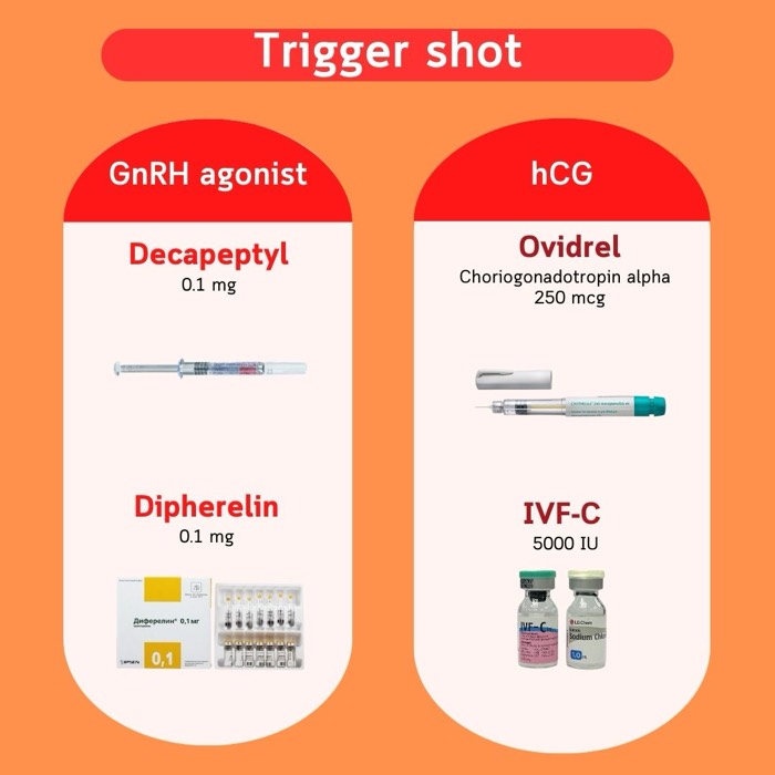 Suntikan pencetus — agonis GnRH (Decapeptyl, Diphereline) dan hCG (Ovidrel, IVF-C)